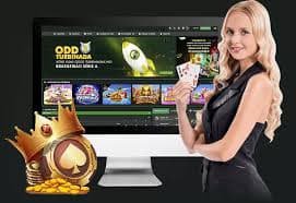 mmr555 Myanmar online gaming platform ခရီးသွားမှု တိုးတက်မှု